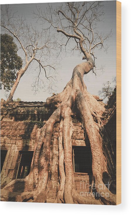  Wood Print featuring the photograph Angkor Wat #1 by Juergen Held