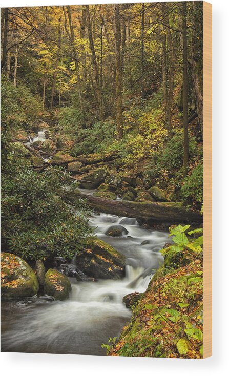 Rapids Wood Print featuring the photograph Autumn Stream #1 by Andrew Soundarajan