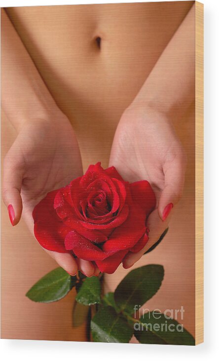Woman Wood Print featuring the photograph Beautiful Nude Woman Holidng Red Rose #1 by Maxim Images Exquisite Prints