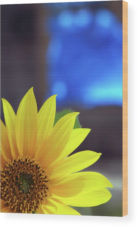 Sunflower Wood Print featuring the photograph Burst of Sunshine by James Knight