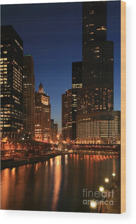 Chicago Wood Print featuring the photograph Chicago River Reflections #1 by Timothy Johnson