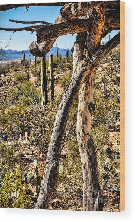 Arid Wood Print featuring the photograph Desert Landscape #1 by Lawrence Burry
