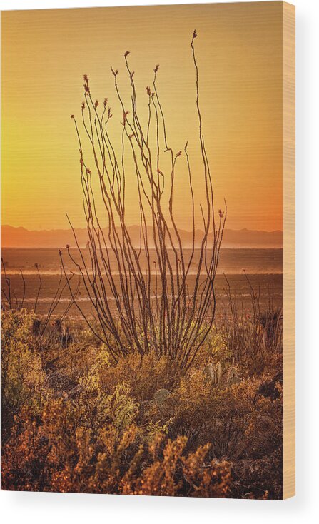 Apache Country Wood Print featuring the photograph Dog Canyon Sunset #1 by Diana Powell