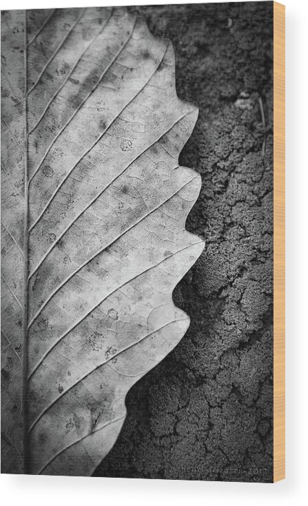Leaf Wood Print featuring the photograph Dried Leaf #1 by Henri Irizarri