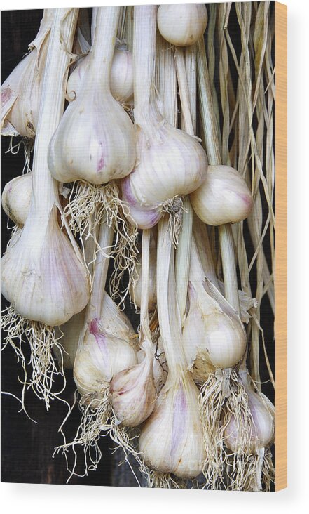 Organic Wood Print featuring the photograph Drying Garlic #1 by Thomas R Fletcher