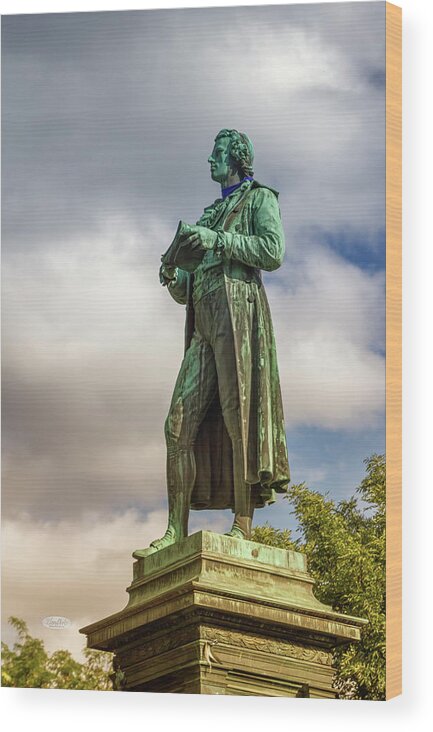 Schillerplatz Wood Print featuring the photograph Friedrich Schiller statue, Vienna, Austria #1 by Elenarts - Elena Duvernay photo