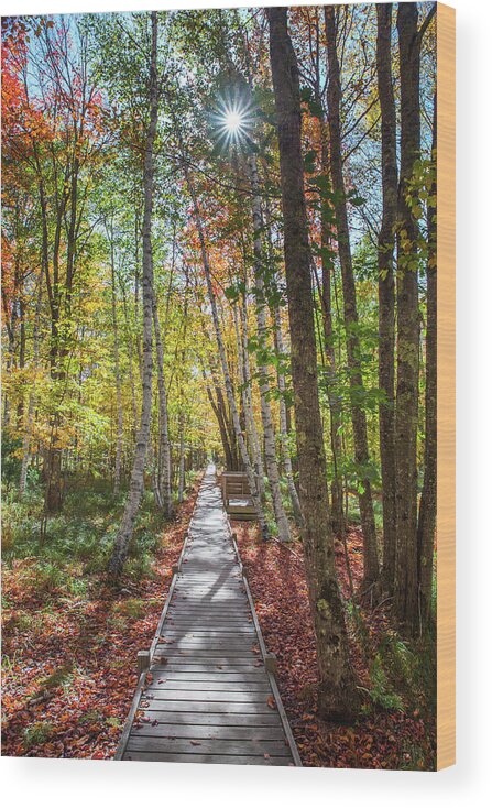Jessup Wood Print featuring the photograph Jessup Path Sunburst #1 by White Mountain Images