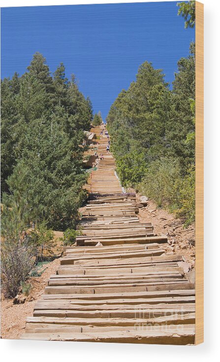 Pikes Peak Wood Print featuring the photograph Manitou Springs Pikes Peak Incline #1 by Steven Krull