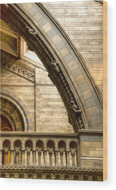 Natural History Museum Wood Print featuring the photograph Natural History Museum Kensington #1 by David French