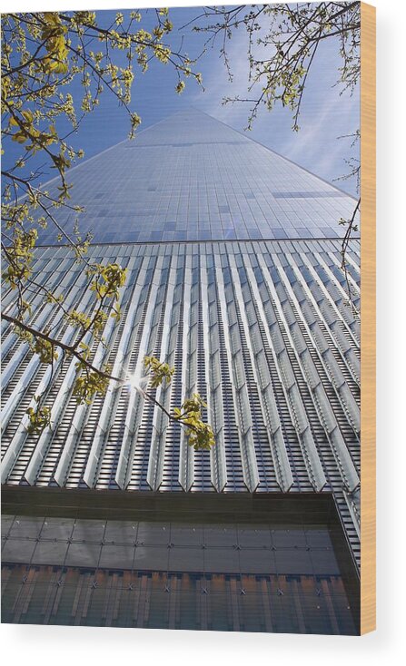 One World Trade Center Wood Print featuring the photograph One World Trade Center #1 by Flavia Westerwelle