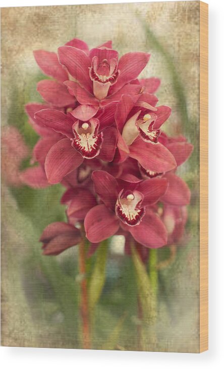 Flower Wood Print featuring the photograph Orchid #1 by Catherine Lau