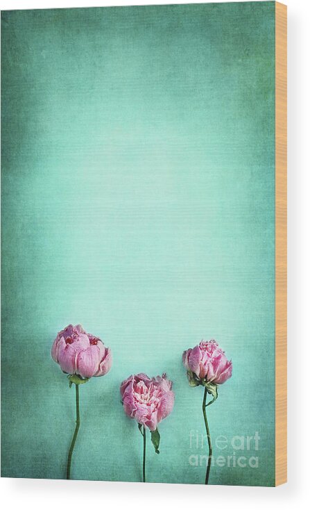 Peony Wood Print featuring the photograph Pink Peonies #1 by Stephanie Frey
