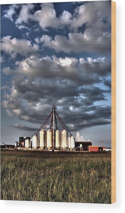  Wood Print featuring the photograph Reach for the sky #1 by David Matthews