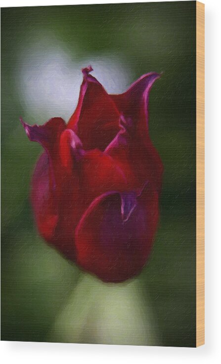 Red Wood Print featuring the painting Red Rose #1 by Prince Andre Faubert