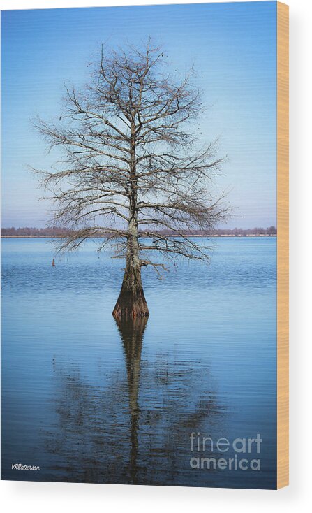 Cyprus Trees Wood Print featuring the photograph Reflection #1 by Veronica Batterson