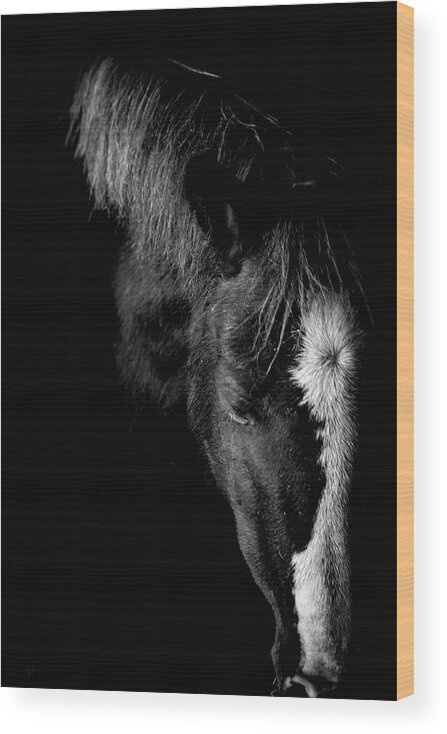 Pony Wood Print featuring the photograph Remembrance #1 by Paul Neville