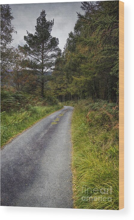 Road Wood Print featuring the photograph Road To Freedom #1 by Ian Mitchell