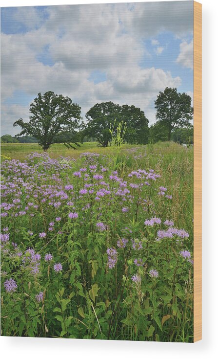 Silver Creek Conservation Area Wood Print featuring the photograph Silver Creek Conservation Area #1 by Ray Mathis