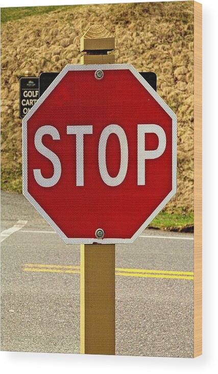 Stop Wood Print featuring the photograph Stop sign #1 by Karl Rose