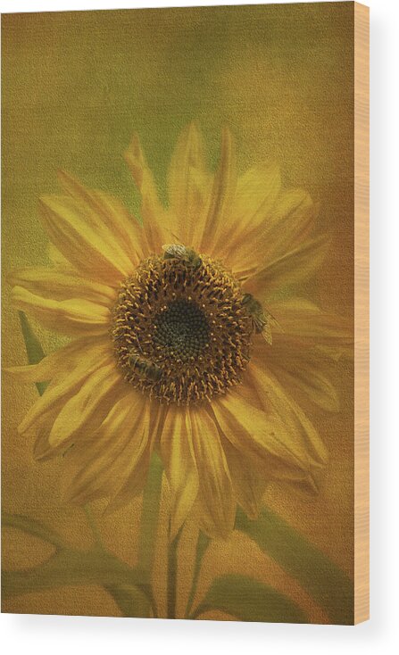 Botanical Wood Print featuring the photograph Sunflower #2 by Sue Leonard