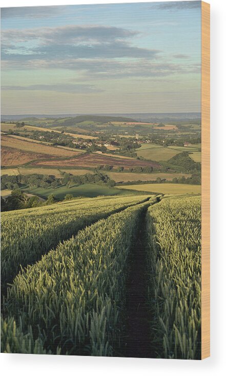 Exe Valley Devon Wood Print featuring the photograph The Exe Valley #1 by Pete Hemington