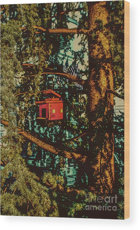 Birdhouse Wood Print featuring the photograph Train Bird House #1 by Sandy Moulder