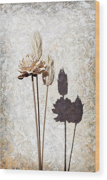 Flower Wood Print featuring the photograph Vintage Floral 1 #2 by Al Hurley