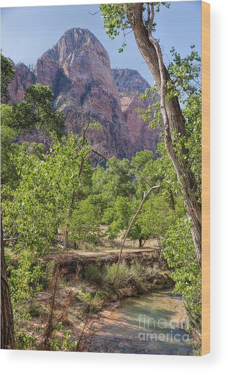 Utah Wood Print featuring the photograph Virgin River at Zion #1 by Peggy Hughes