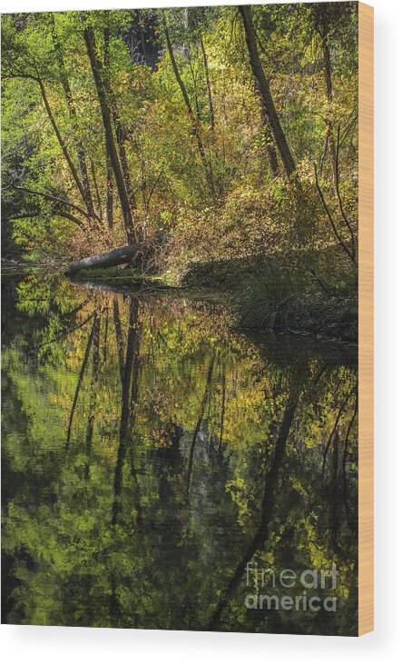 Autumn Wood Print featuring the photograph West Fork In Autumn by Tamara Becker