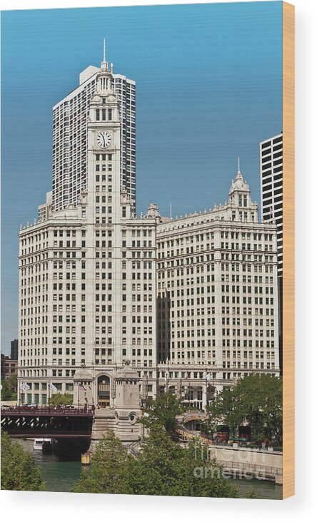 Chicago Wood Print featuring the photograph Wrigley Building by David Levin