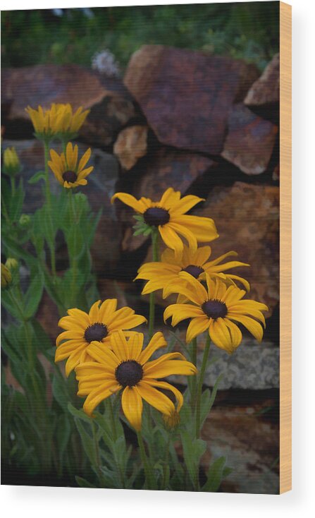 Yellow Wood Print featuring the photograph Yellow Beauty by Cherie Duran