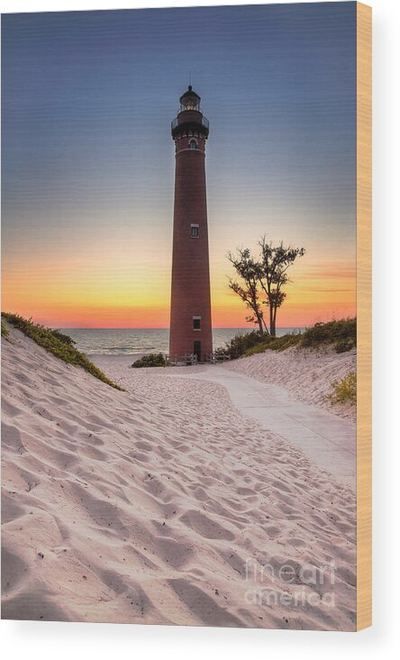 Beach Wood Print featuring the photograph Little Sable Point Light Station #2 by Larry Carr