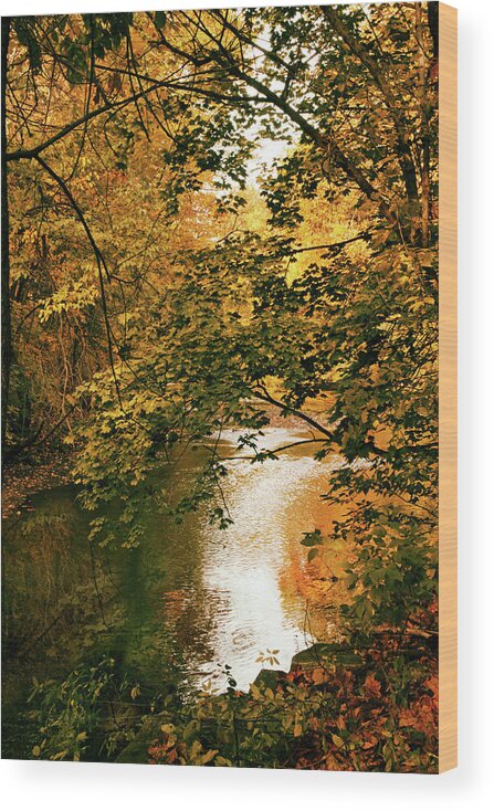 Autumn Wood Print featuring the photograph River Reflections #2 by Jessica Jenney