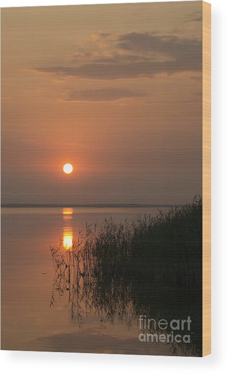 Sunset Wood Print featuring the photograph Sunset #3 by Inge Riis McDonald