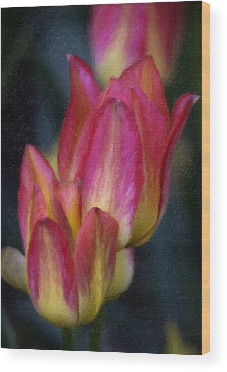 Tulip Wood Print featuring the painting Tulips #2 by Prince Andre Faubert