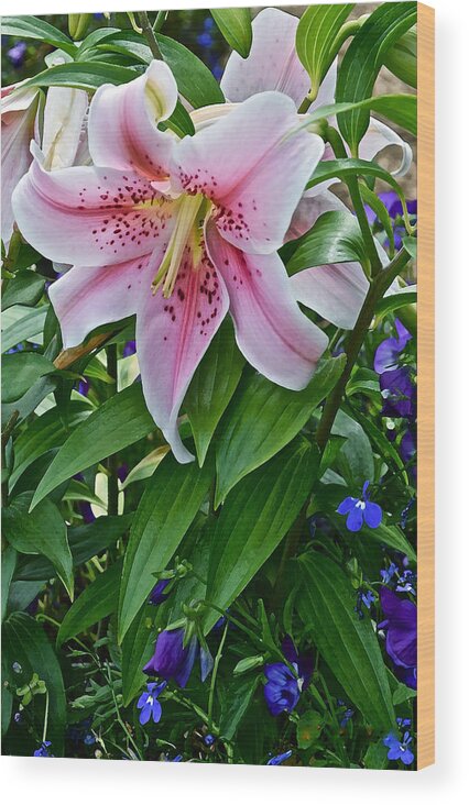 Lilies Wood Print featuring the photograph 2015 Summer at the Garden Event Garden Lily 3 by Janis Senungetuk