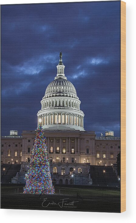 Christmas Tree Wood Print featuring the photograph 2017 Capitol Tree by Erika Fawcett