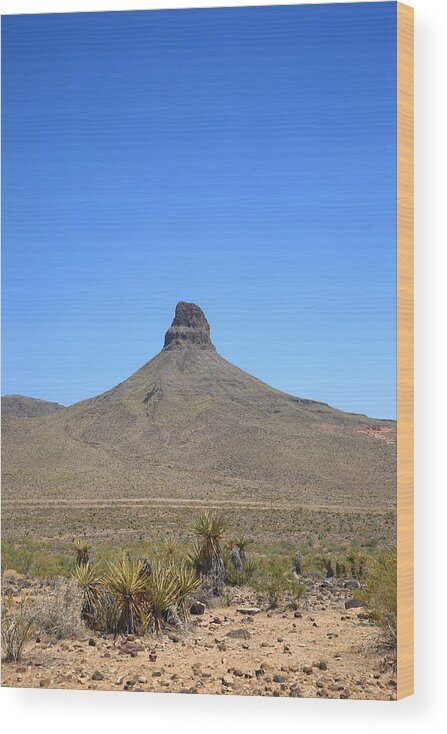  America Wood Print featuring the photograph Desert Landscape #3 by Frank Romeo