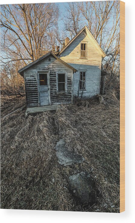 Trees Wood Print featuring the photograph Forgotten #3 by Aaron J Groen