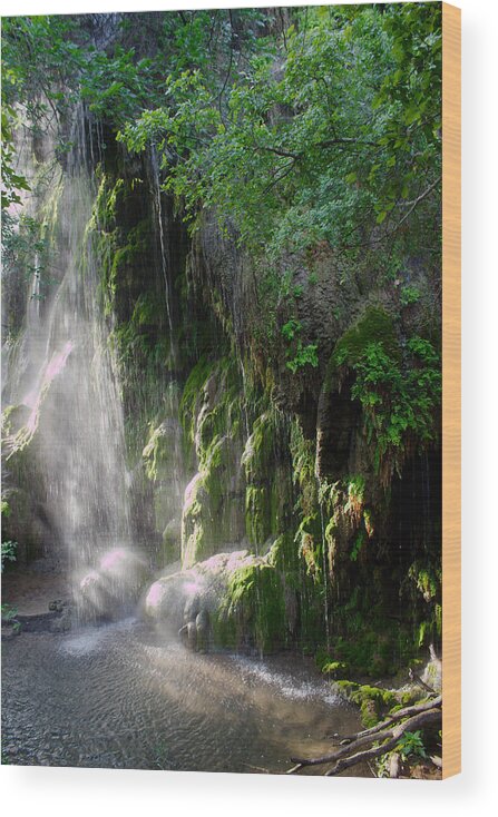 James Smullins Wood Print featuring the photograph Gormon falls Colorado bend state park. #4 by James Smullins