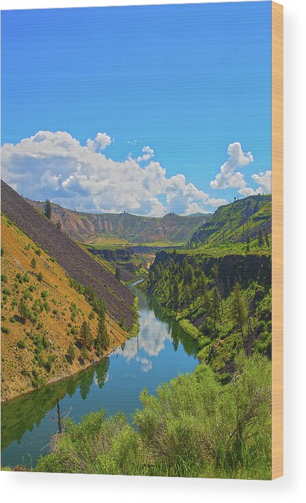 Idaho Wood Print featuring the photograph Idaho Landscape #3 by Dart Humeston