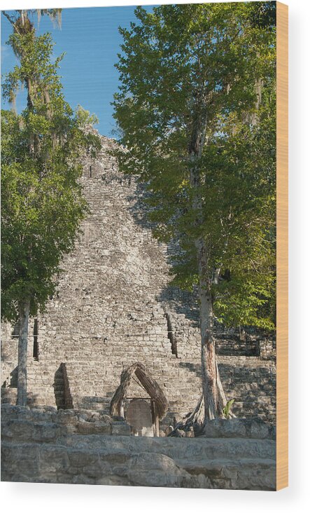 Mexico Quintana Roo Wood Print featuring the digital art The Church at Grupo Coba At the Coba Ruins #3 by Carol Ailles