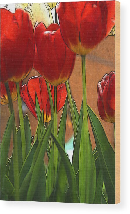 Tulips Wood Print featuring the photograph Tulips #3 by John Freidenberg