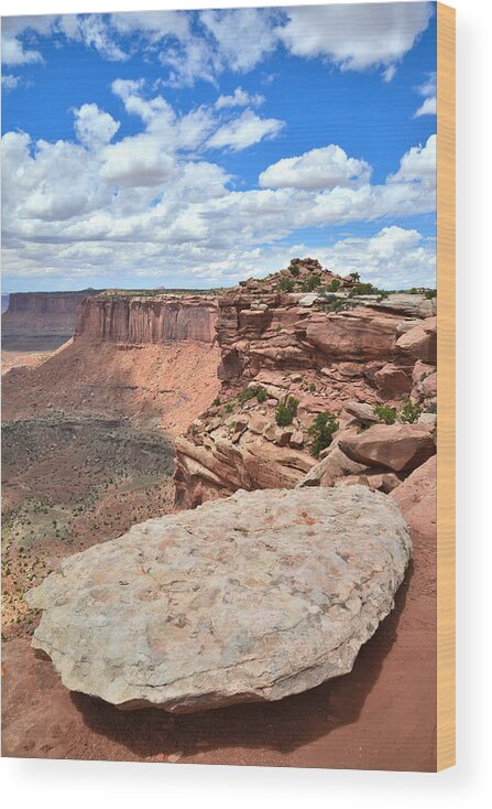 Canyonlands National Park Wood Print featuring the photograph Canyonlands #9 by Ray Mathis