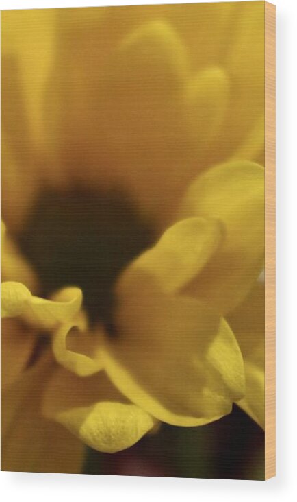 Yellow Wood Print featuring the photograph Flowers by Deena Withycombe