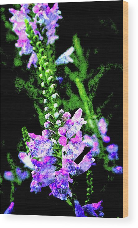 Texture Wood Print featuring the photograph Texture Flowers #44 by Prince Andre Faubert