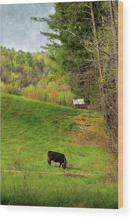 Rural Scene Wood Print featuring the photograph A Country Morning by Mike Eingle