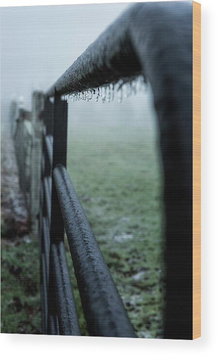 Icicles Wood Print featuring the photograph A Fence in Freezing Fog by Belinda Greb