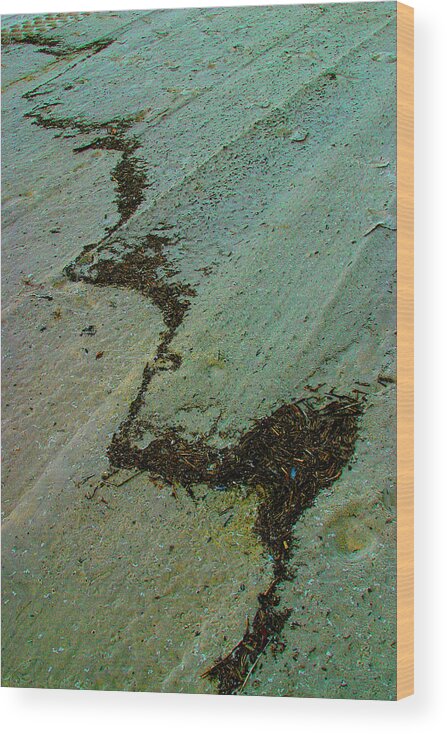 Photography Wood Print featuring the photograph A Line in the Sand by William Meemken
