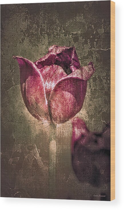 Mothers Day Cards Wood Print featuring the photograph A Mother's Day Card by Linda Sannuti